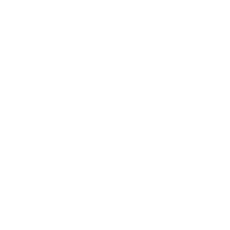 MSA logo